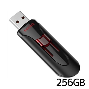 サンディスク SanDisk 並行輸入品2週間保証のみ サンディスク USBメモリ 256GB SDCZ600-256G-G35 USB3.0対応