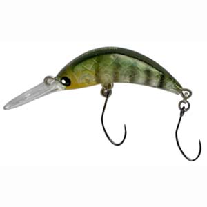ムカイ Mukai ムカイ ザンム ZANMU 35MR F 定番10 グリーンストライパー